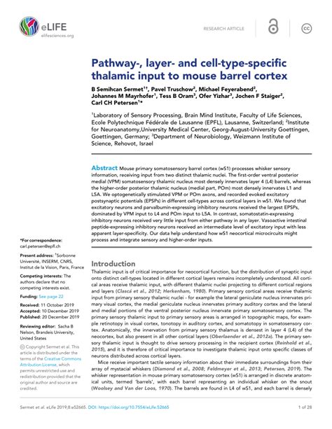 Pdf Pathway Layer And Cell Type Specific Thalamic Input To Mouse