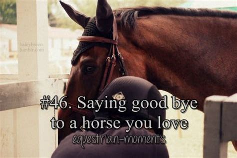 Equestrian Moments Inspirational Horse Quotes Horse Quotes Horse