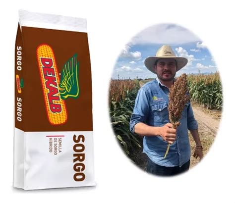 Semilla Sorgo Amargo Antipajaro Dekalb Brs Bulto