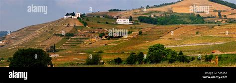 A view over the Crozes-Hermitage vineyards in the part of the ...