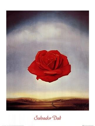 Meditative Rose C 1958 Fine Art Print By Salvador Dali At