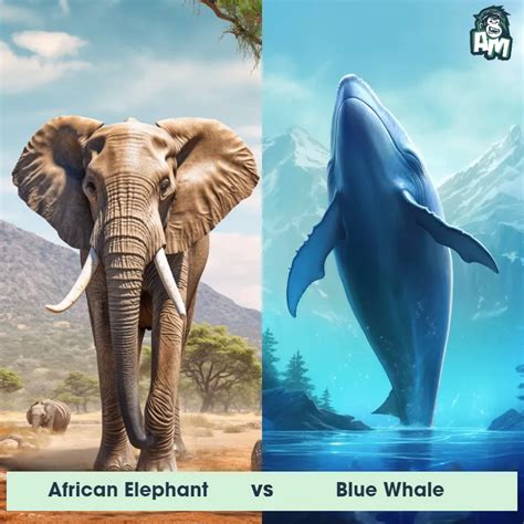 African Elephant vs Blue Whale: See Who Wins | Animal Matchup