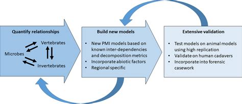 A Structured And Iterative Research Approach To Using Our Framework Download Scientific Diagram