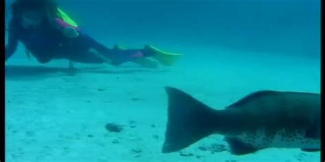 Free Scuba Porn Videos Sex Movies TNAFLIX