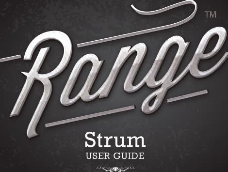 E Core Technology HL2515 Strum User Manual