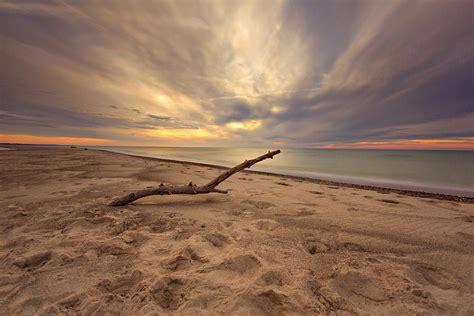 Grand Mere Sunset Driftwood Photograph By Jackie Novak Fine Art America