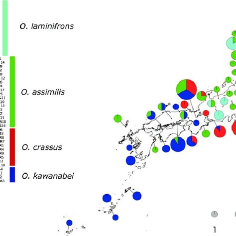 Overview Of Restriction Site Associated Dna Sequencing Rad Seq