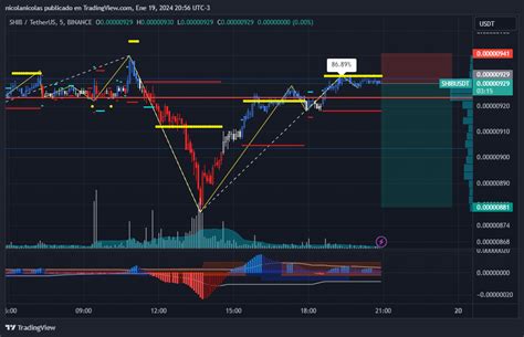 BINANCE SHIBUSDT Chart Image By Nicolanicolas TradingView