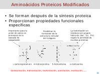 PDF Estructura propiedades y funciones biológicas de los usuaris