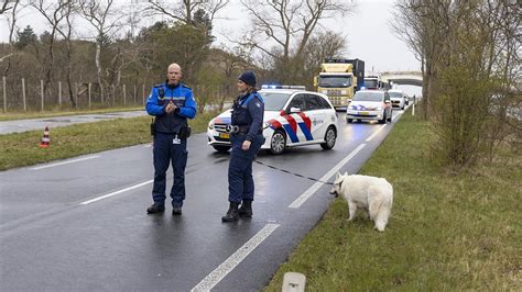 Auto Botst Hard Tegen Boom Op Zeeweg Overveen Noordhollands Dagblad