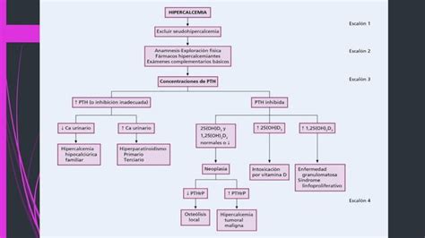 Hipocalcemia E Hipercalcemia Pptx