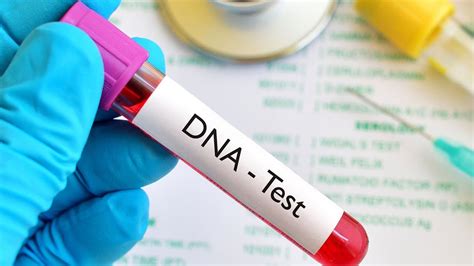 home dna tests   accurate