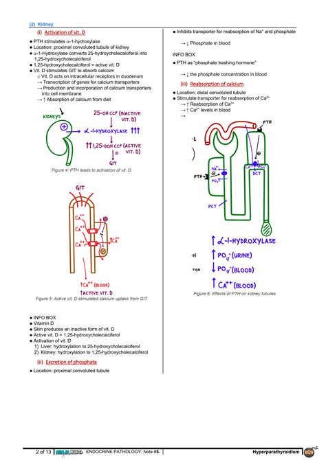 SOLUTION 10430050 Endocrinology Pathology 004 Hyperparathyroidism