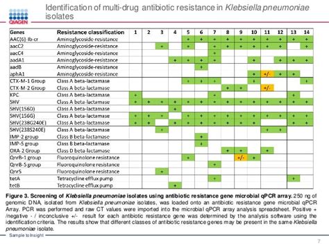 Identification Of Antibiotic Resistance Genes In Klebsiella Pneumonia