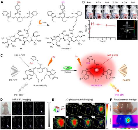 Most Recent Advances On Enzyme‐activatable Optical Probes For