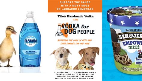 marketing campaigns  inspire  project