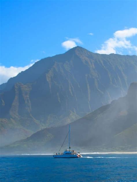 Kauai S Best Whale Watching Tours Next Stop Hawaii