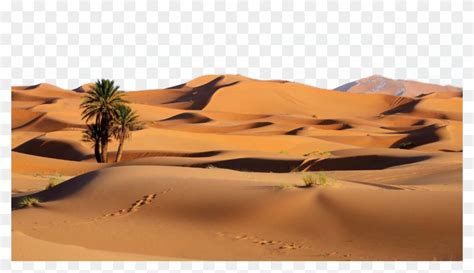 Desert Png Background Photo Sahara Desert Transparent Png X