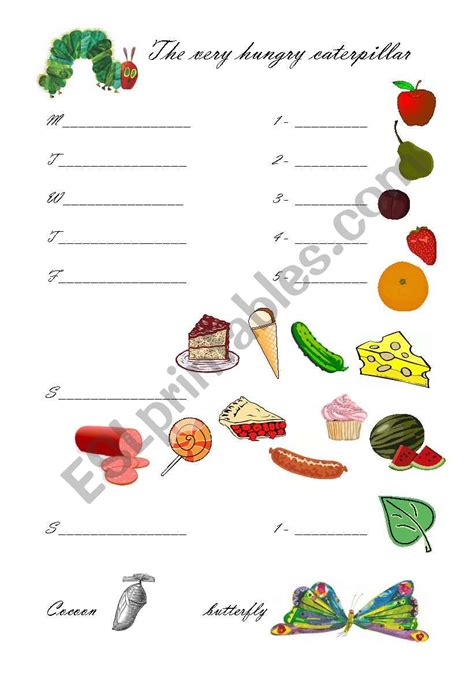 The Very Hungry Caterpillar Esl Worksheet By Aline