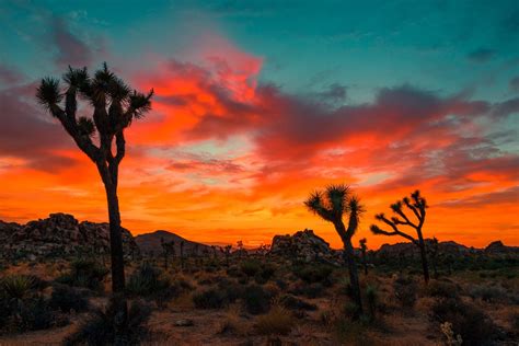 Top 5 Spots for Watch Sunsets in Phoenix