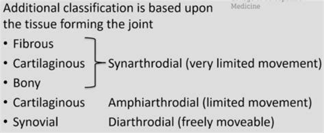 Anatomy Joint Structure Function Flashcards Quizlet