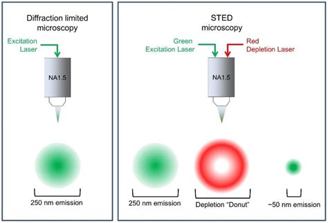 Beyond The Limits Of Optical Microscopy Imagingsuper Resolution