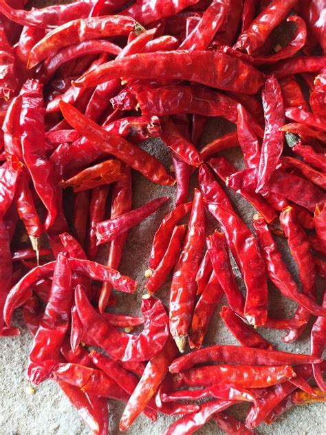 Stemless Dry Red Chilli Packaging Loose At Rs 205 Kg In Tanuku ID