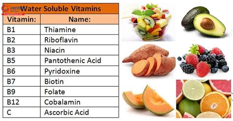 Vitamin V Kho Ng Ch T B Sung Gi P T Ng C Ng S C Kh Ng