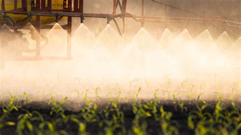 What Are The Impacts Of Chemical Fertilisers And Pesticides