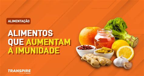 Alimentos que aumentam a imunidade 23 opções práticas