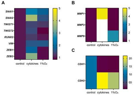 Representative genes of EMT induced by cytokines. Genes for ...
