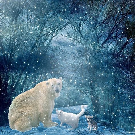 Three Animals In Snowy Winter Scene | Polar bear, Polar bear winter ...