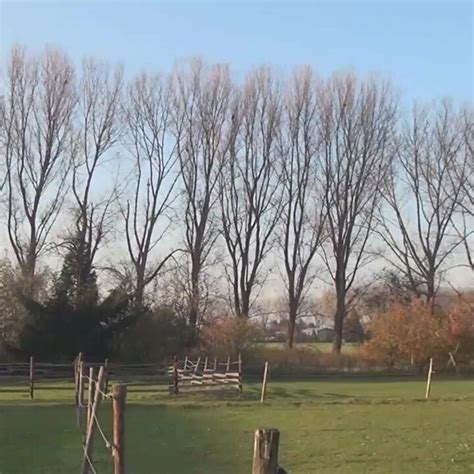 German Cougar And Granny Nasty Tales The Movie Porn C Xhamster