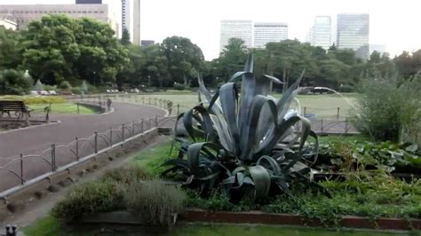 Zr 200 日比谷公園 ペリカンの噴水 Full Hd Pelican Fountain In Hibiya Park Youtube