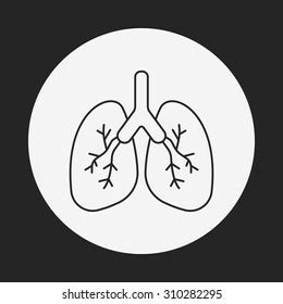 Human Lungs Line Icon Breath Bronchi Stock Vector Royalty Free