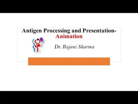 Antigen Processing and Presentation- Animation : biology