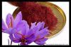 Does Ginseng And Saffron Really Increase Your Libido And Sex Drive Health And Natural Healing