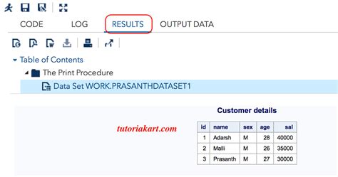 Sas Infile Statement Read Raw Data