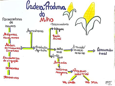 Mapa Mental Cadeia Produtiva REVOEDUCA