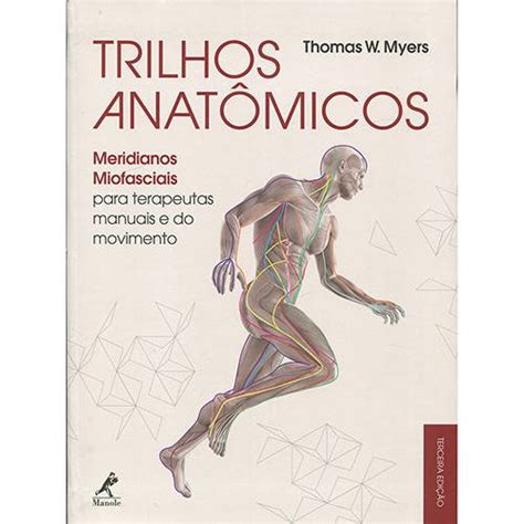 Tamanhos Medidas E Dimens Es Trilhos Anat Micos