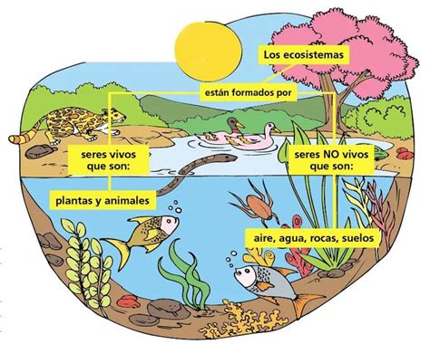 Ecosistemas acuáticos y terrestres Escolar ABC Color