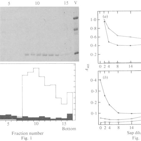 A Analysis By Sds Polyacrylamide Gel Electrophoresis Of The Download Scientific Diagram