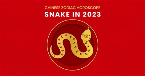 Snake Zodiac in 2023 with Detailed Guide - RenerQi