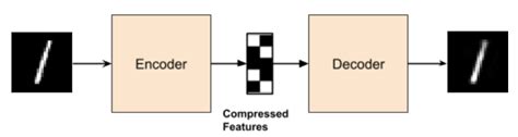 Sparse Autoencoder Coding Ninjas