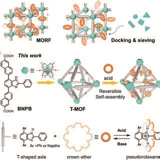 A Schematic Display Of Metalorganic Rotaxane Frameworks Morfs And