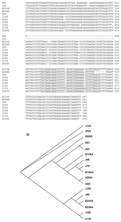 In Vitro And In Vivo Complementation Of The Helicobacter Pylori