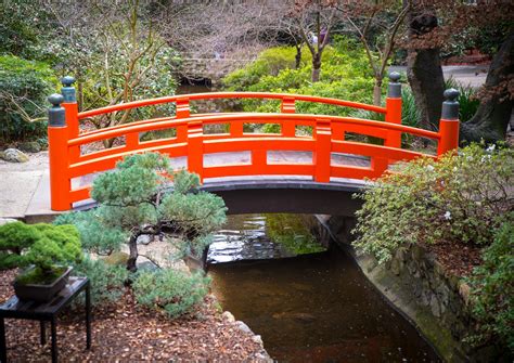 Bridge in Japanese Tea Garden - Etsy