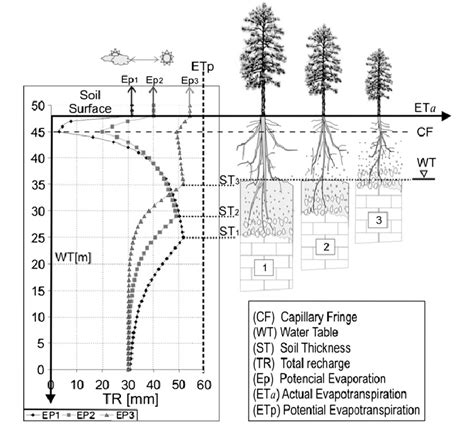 Root water uptake model transpiration curves. | Download Scientific Diagram