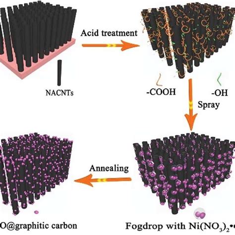 Schematic Diagram Of The Synthesis Procedure For Nacnts Nio Graphitic