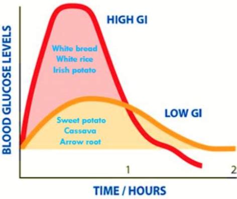 Glycemic index chart with the foods studied. | Download Scientific Diagram